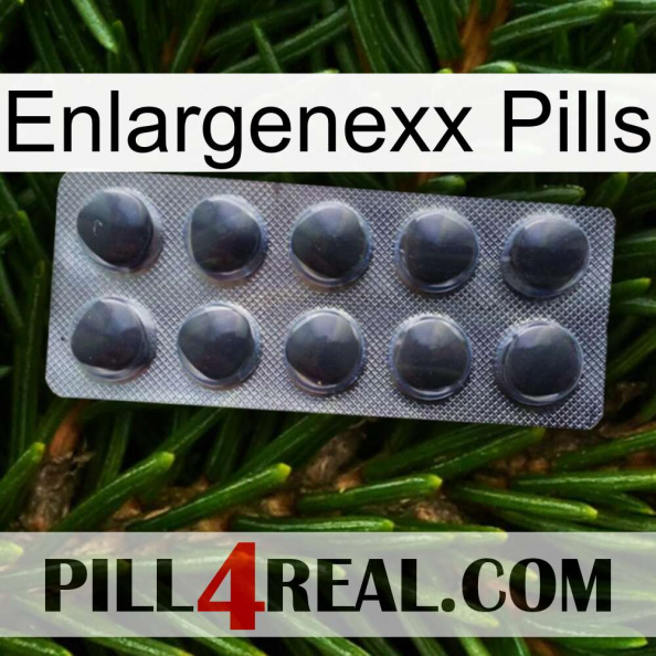 Enlargenexx Pills 30.jpg